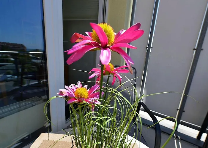 Haus Nordseebrandung Nd24